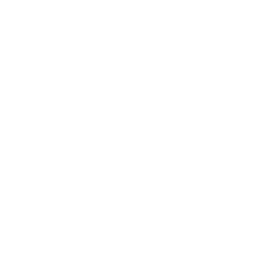 TrustMotion Logo white